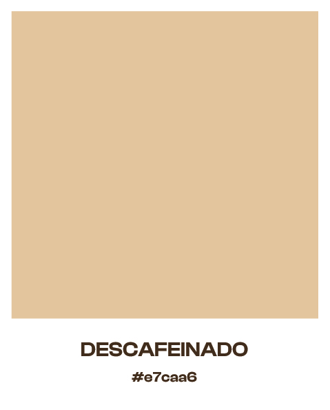 solatte protfolio-03