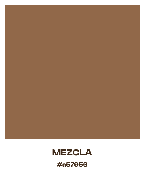 solatte protfolio-04