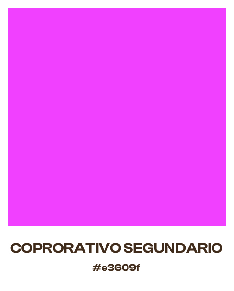 solatte protfolio-07