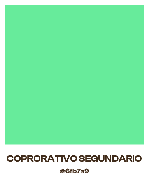 solatte protfolio-08