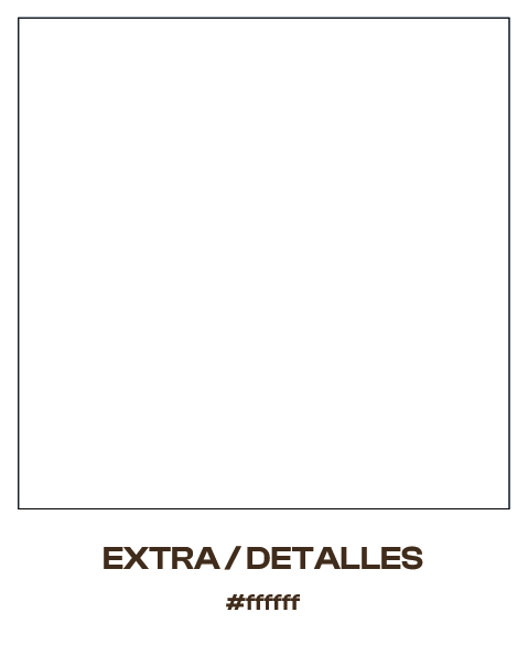 solatte protfolio-11